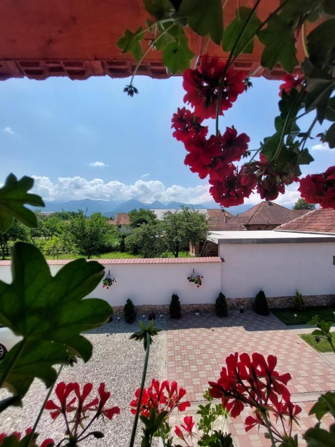 Casa Cristina Pensiune